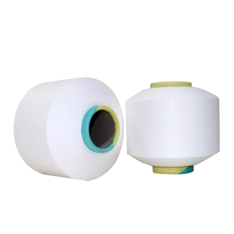 Recycled Nylon 6 Yarn Market Expansion